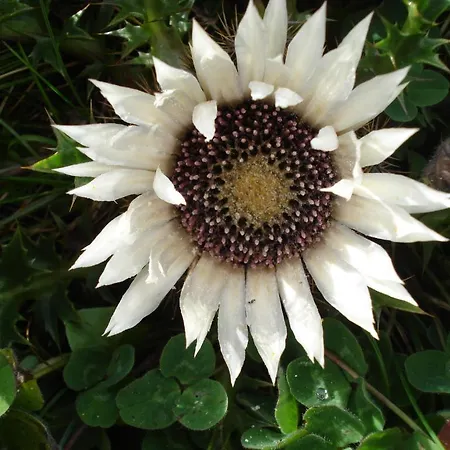 Bed & Breakfast Rohrbach